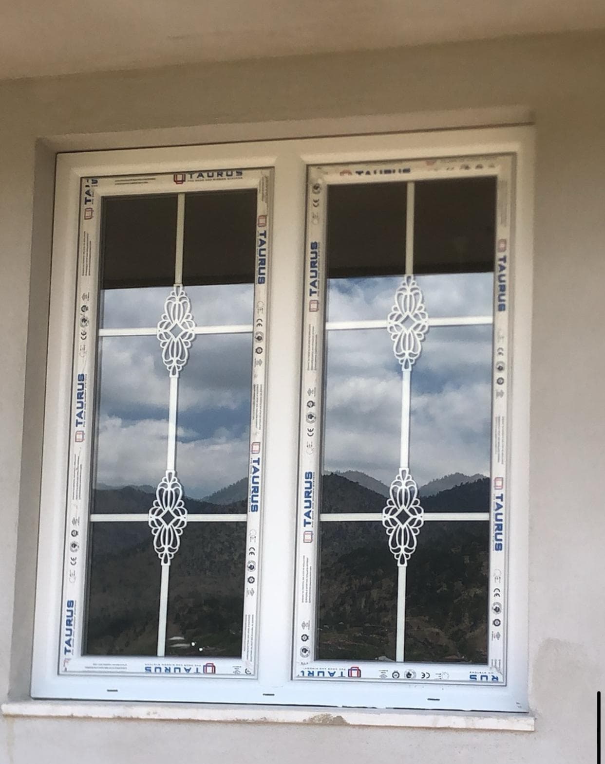 Beyaz çerçeveli çift kanatlı dekoratif cam kapı